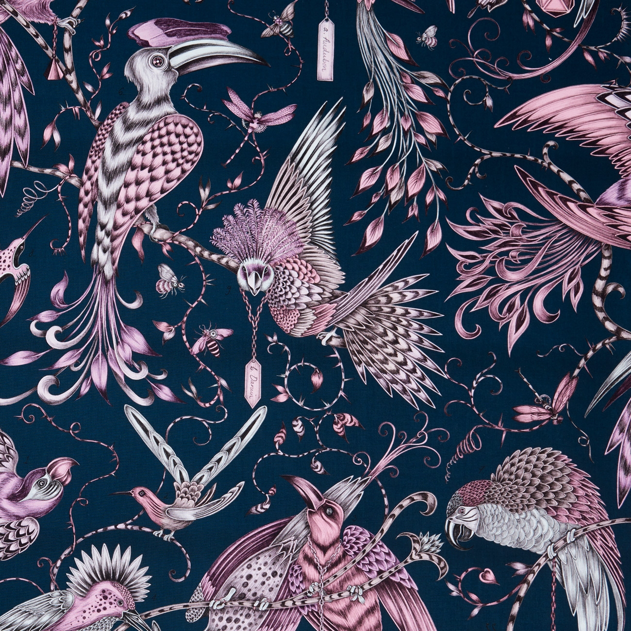 Audubon Audubon