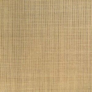 Goodmorning CS ↨ 325 cm