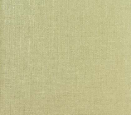 Bravo E0005-08, matte structuur behang met metallic streep