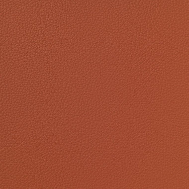 Licio E6017-01, kunstleer in een gladde, matte structuur