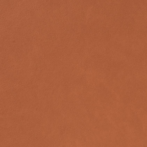 Licio E6017-01, kunstleer in een gladde, matte structuur