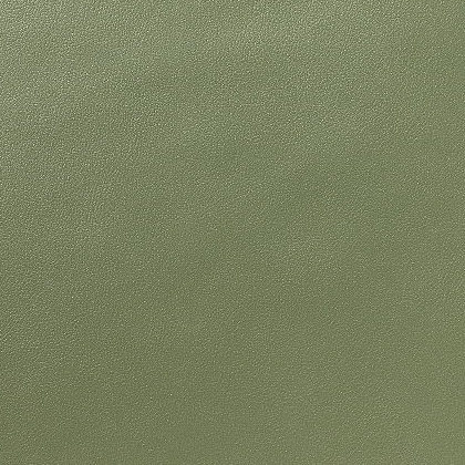 Licio E6017-01, kunstleer in een gladde, matte structuur