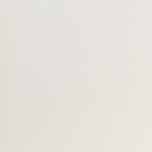 Licio E6017-01, kunstleer in een gladde, matte structuur
